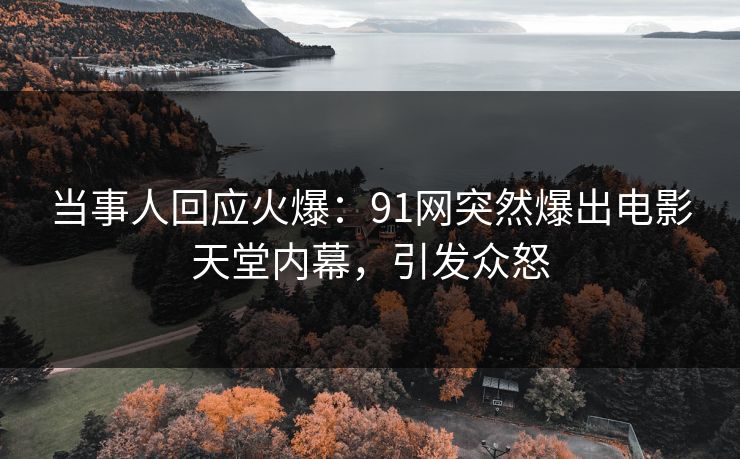 当事人回应火爆：91网突然爆出电影天堂内幕，引发众怒