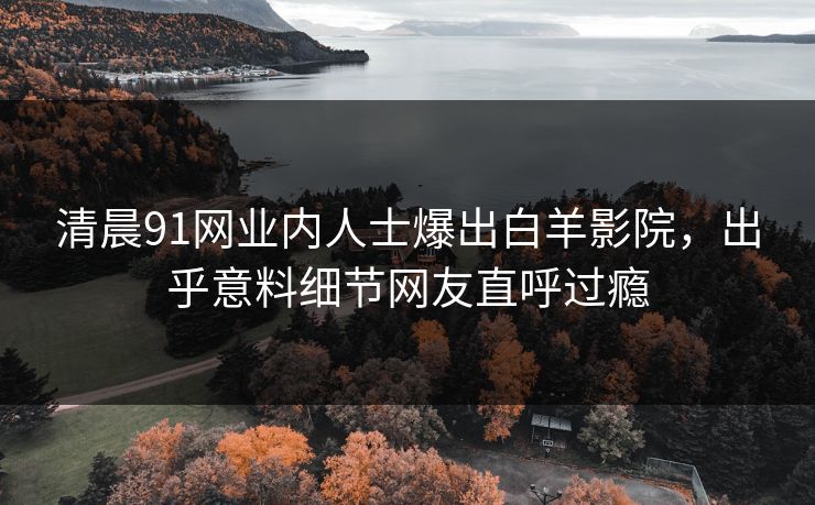 清晨91网业内人士爆出白羊影院，出乎意料细节网友直呼过瘾