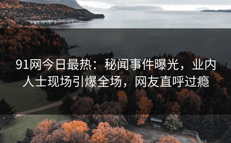 91网今日最热：秘闻事件曝光，业内人士现场引爆全场，网友直呼过瘾