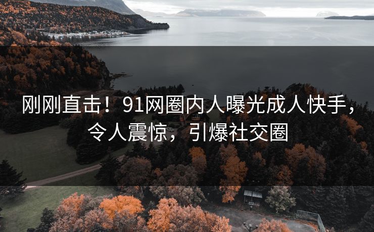 刚刚直击！91网圈内人曝光成人快手，令人震惊，引爆社交圈