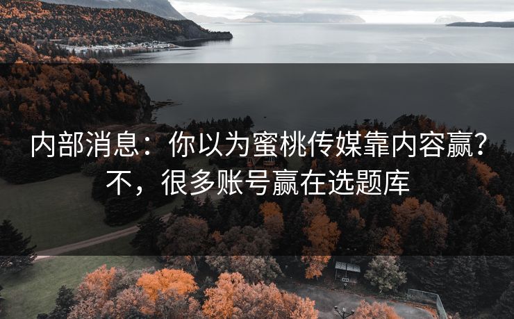 内部消息：你以为蜜桃传媒靠内容赢？不，很多账号赢在选题库