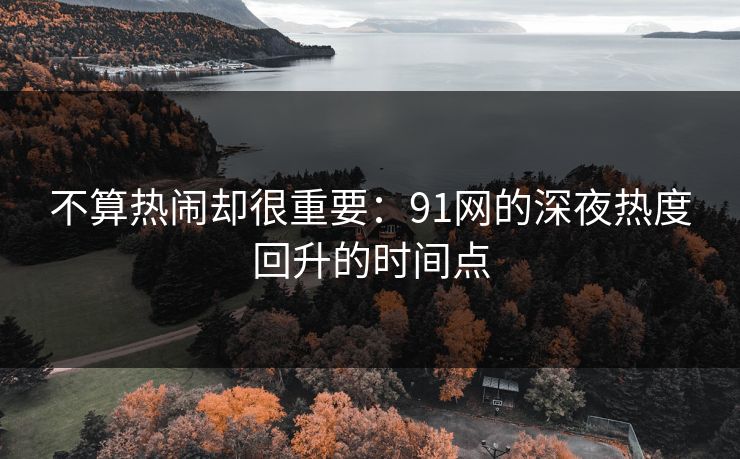不算热闹却很重要：91网的深夜热度回升的时间点